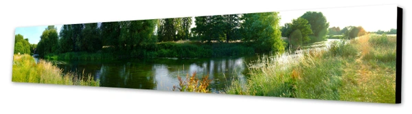 River Mole Panoramic canvas print