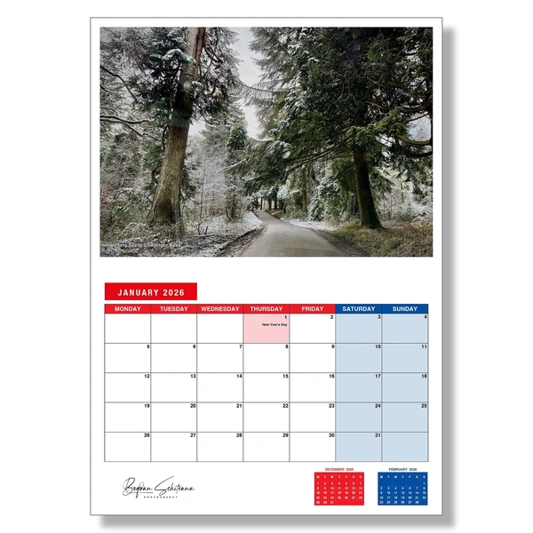  January Copy