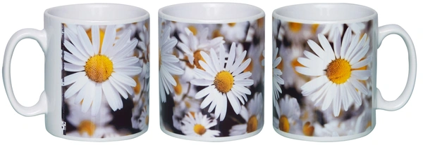  Daisies Mugs
